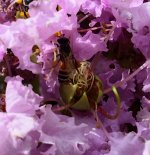 DSC_7641.jpg