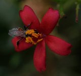 DSC_7785.jpg