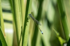 DSC_1351.jpg