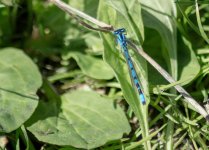 DSC_1364.jpg