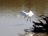 DSCN9120.jpg