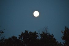 DSC_0882.jpg