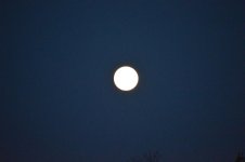 DSC_0884.jpg