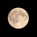 moon2.jpg
