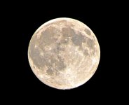DSC_0892.jpg