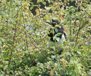 DSC_5747.jpg