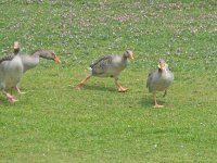 DSC_5844.jpg