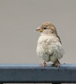 DSC_5762.jpg