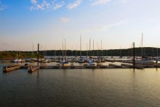 Sail Boat Marina 2 Small.jpg