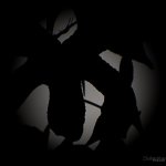 Day193-1.jpg