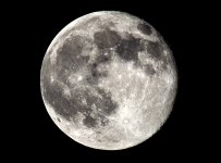 12th  July 2014 021.JPG