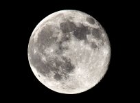 12th  July 2014 020.JPG