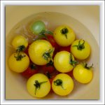 Garden freshness.jpg
