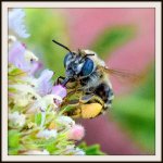 600_4208-2.jpg