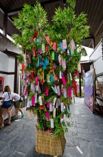 wish-1.jpg