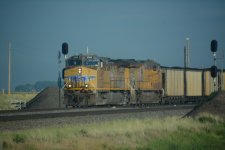 DSC_6636.JPG
