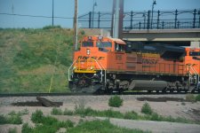 DSC_6704.JPG