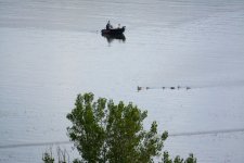 DSC_6732.JPG