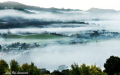 Misty Coromandel LOL.jpg