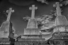 DSC_3176_HDR_webshot.jpg