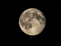 The full moon.jpg