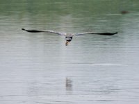 DSCN9319.jpg
