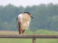 DSCN9329.jpg