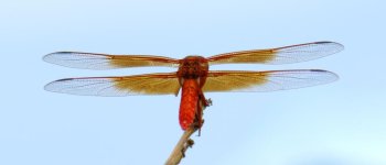 DSC_3537_2.jpg