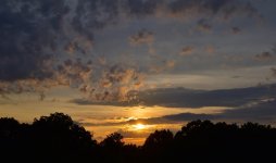 DSC_0266.jpg