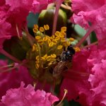 DSC_7902.jpg