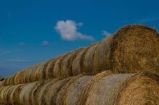 Balls of straw.jpg