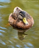 DSC_8341.jpg