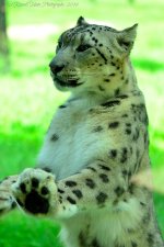 DSC_8626.jpg
