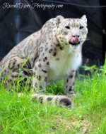 DSC_8637.jpg