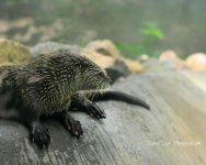 DSC_8726.jpg