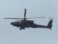 DSCN9404a.jpg