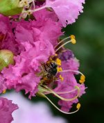 DSC_7999.jpg