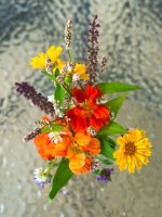 summer flowers.jpg
