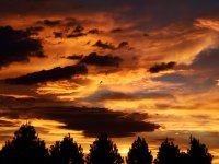 sunset 7-16-14.jpg