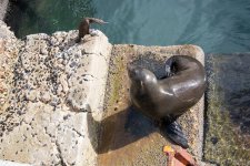 DSC_1082.jpg
