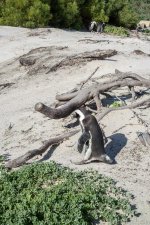 DSC_1088.jpg