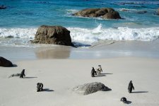 DSC_1096.jpg