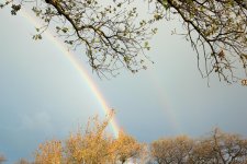 DSC_1107.jpg