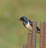 DSC_6157.jpg