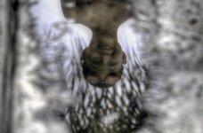anthony reflection_DSC_3791.jpg