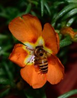 DSC_8105.jpg