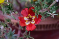 DSC_7729.jpg