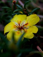 DSC_7732.jpg