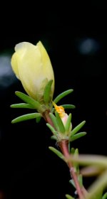 DSC_7980.jpg