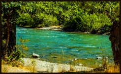 DSC_7710-001.jpg